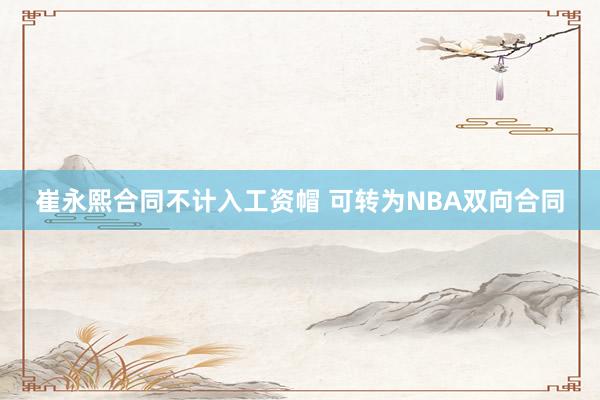 崔永熙合同不计入工资帽 可转为NBA双向合同