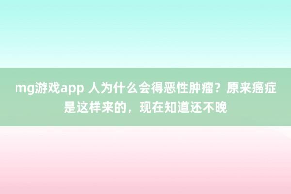 mg游戏app 人为什么会得恶性肿瘤？原来癌症是这样来的，现在知道还不晚