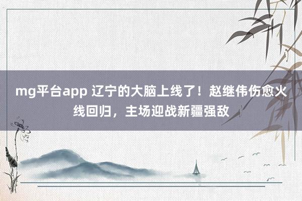 mg平台app 辽宁的大脑上线了!赵继伟伤愈火线回归,主场迎战新疆强敌