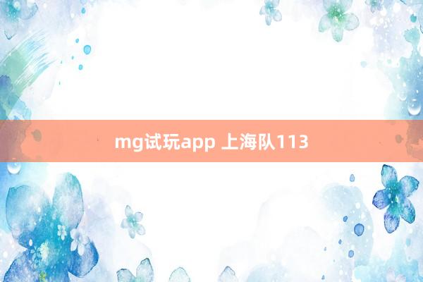 mg试玩app 上海队113