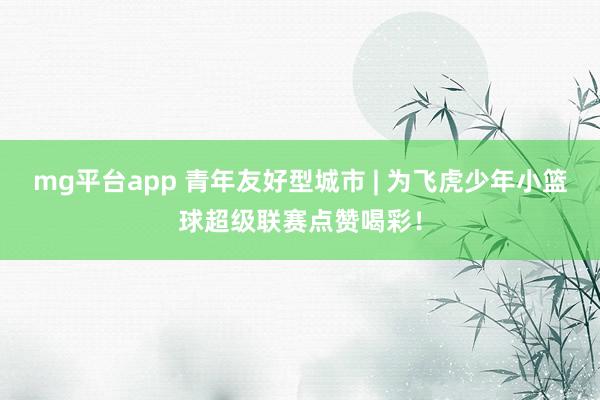 mg平台app 青年友好型城市 | 为飞虎少年小篮球超级联赛点赞喝彩!