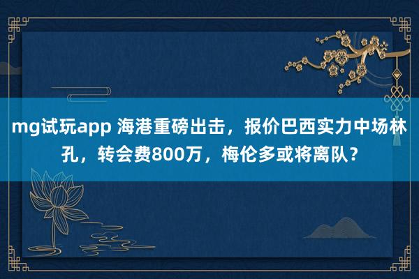 mg试玩app 海港重磅出击,报价巴西实力中场林孔,转会费800万,梅伦多或将离队?