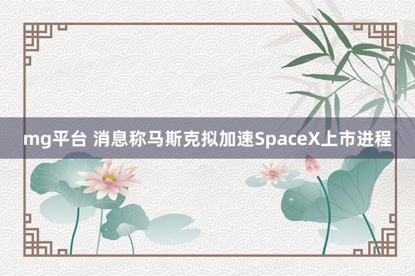 mg平台 消息称马斯克拟加速SpaceX上市进程
