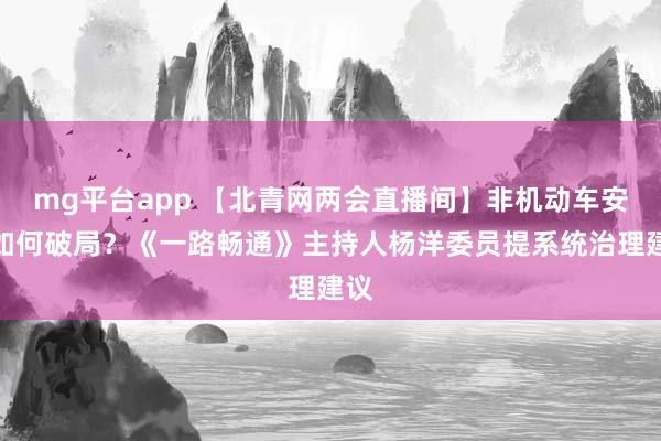 mg平台app 【北青网两会直播间】非机动车安全如何破局？《一路畅通》主持人杨洋委员提系统治理建议