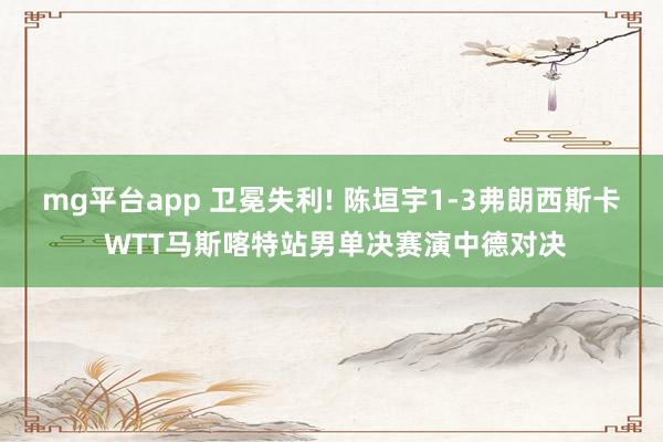 mg平台app 卫冕失利! 陈垣宇1-3弗朗西斯卡 WTT马斯喀特站男单决赛演中德对决