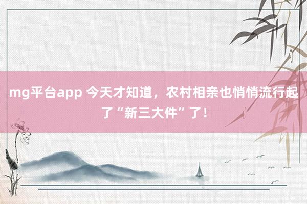 mg平台app 今天才知道,农村相亲也悄悄流行起了“新三大件”了!