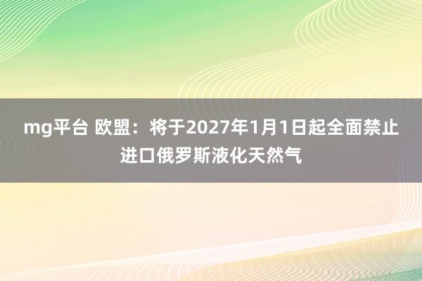 mg平台 欧盟：将于2027年1月1日起全面禁止进口俄罗斯液化天然气