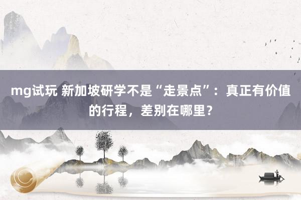 mg试玩 新加坡研学不是“走景点”:真正有价值的行程,差别在哪里?