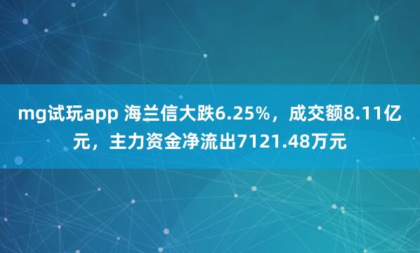 mg试玩app 海兰信大跌6.25%，成交额8.11亿元，主力资金净流出7121.48万元