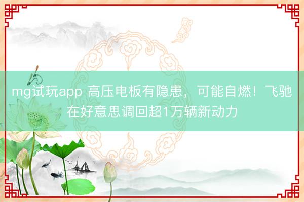 mg试玩app 高压电板有隐患，可能自燃！飞驰在好意思调回超1万辆新动力