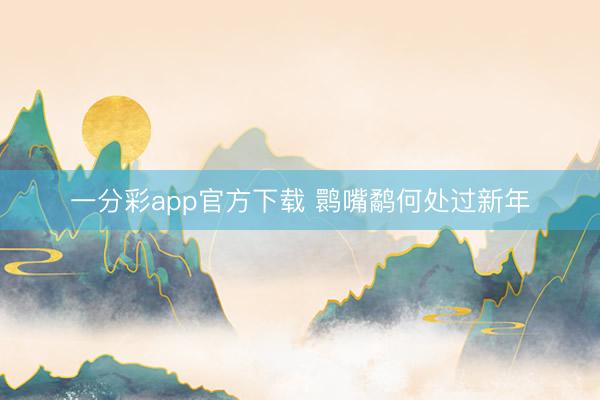 一分彩app官方下载 鹮嘴鹬何处过新年