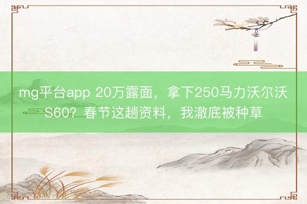 mg平台app 20万露面,拿下250马力沃尔沃S60?春节这趟资料,我澈底被种草