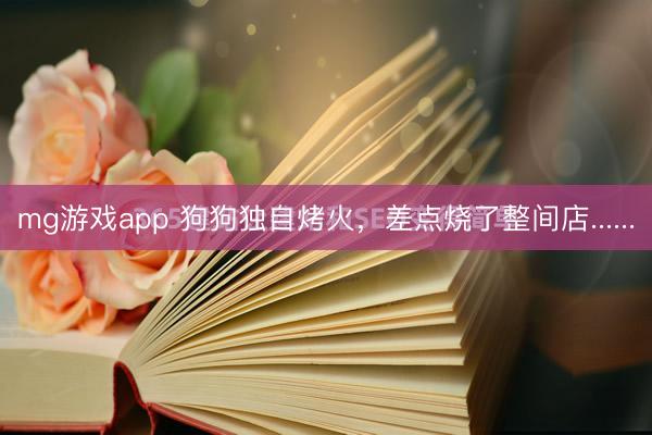 mg游戏app 狗狗独自烤火，差点烧了整间店......